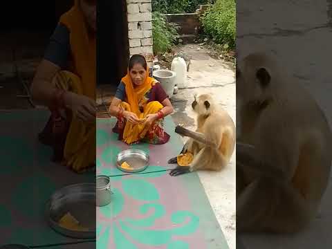 Hay mahavir kro klyan 🙏🙏💗💗😊😊