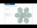 Vaccination Coverage and Herd Immunity