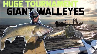 Fishing a HUGE TOURNAMENT for GIANT Walleyes!