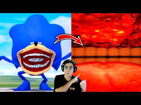 ¿Qué hay DENTRO del MUTANTE SONIC TAPES?