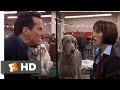 Best in Show 6 11 Movie CLIP Busy Bee 2000 HD YouTube