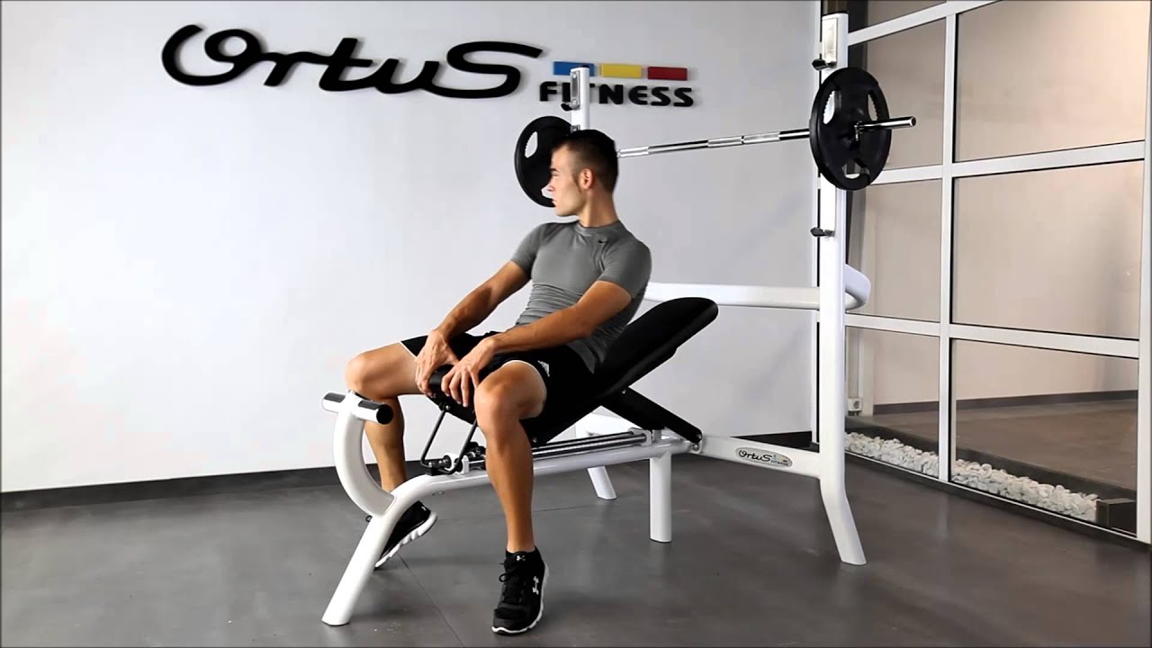 Video de empresa de Ortus fitness