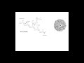 Polysaccharides and Their Functions