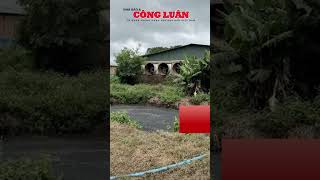 Khởi tố chủ trang trại xả 240 tấn chất thải từ hơn 4.000 con heo ra môi trường