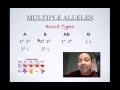 Understanding Blood Types and Genetics