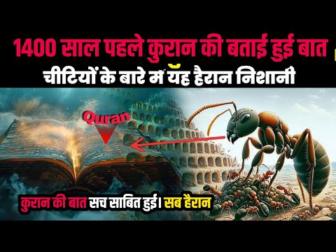 suleman aur chinti ka waqia | Quran ka mojiza | allah ka karishma | Hazrat Sulaiman Alaihissalam