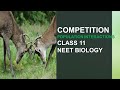 Species Competition and Resource Management