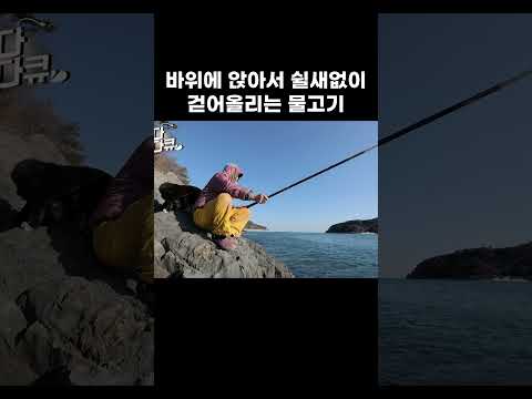 섬마을 할머니의 역대급 낚시 실력 #shorts