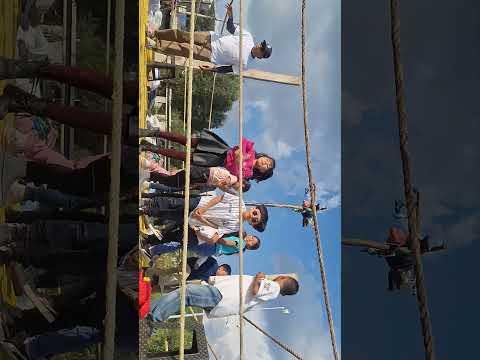 primos 2noviembre 2024