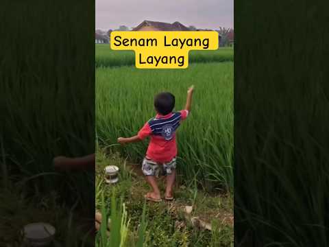 Anak Layangan #shortvideo #funny #viral #trendingvideo #ngakak #senam #layangan