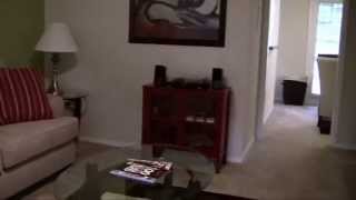 Buckys Vlog - 33 - Tour of My Apartment (Part 1/2)