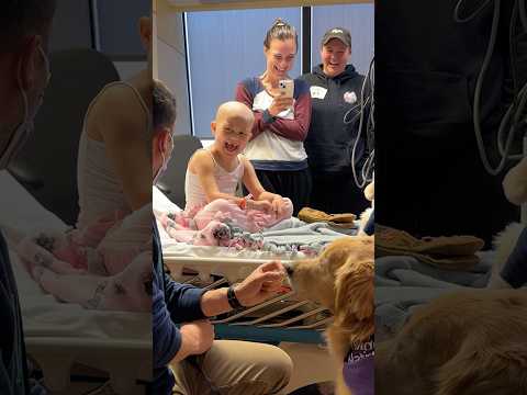 My therapy dogs visit the Children’s Hospital