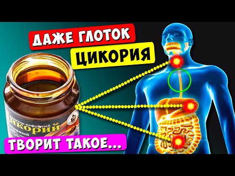Смотрите, что вытворяет Цикорий, если пить Каждый день!  90% людей НЕ знают