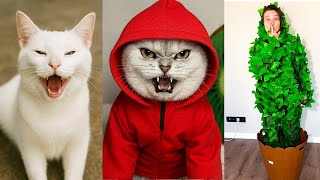 CRAZY CAT VS TREE MAN PRANK 😂🌲