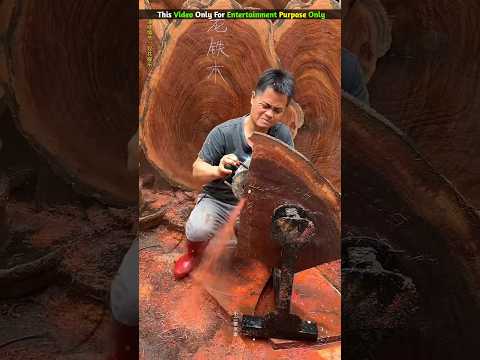आज तो भाई ने अपनी बहन की मदद की 😭😱~mini wood toy|woodworking art skills/ hand crafts/#shorts #viral