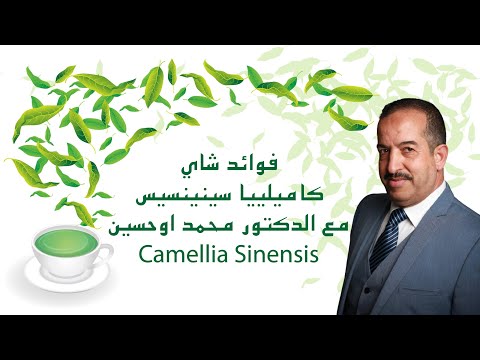 برنامج أش خبار الصحة مع البروفيسور محمد أوحسين