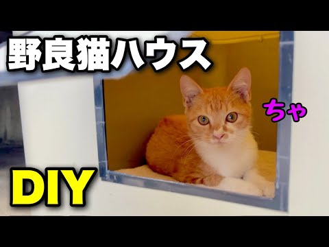 【野良猫ハウス DIY】子猫たちに小屋とトイレを作ったら…