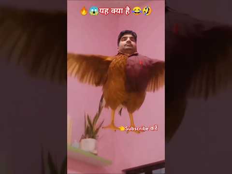 😱 जब आदमी बना मुर्गा LIVE कैमरे में कैद! | Funny Video #shorts #trending #viral #comedy #rupeshdayal