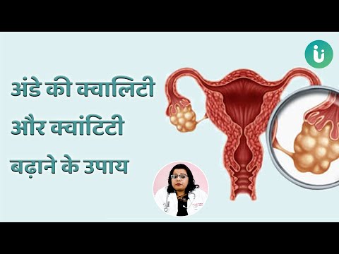 How to improve egg quality & quantity | जल्दी मां बनने के लिए अंडे की क्वालिटी, क्वांटिटी कैसे बढ़ाए?