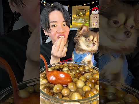 可愛すぎる #asmr #shorts #shortvideo