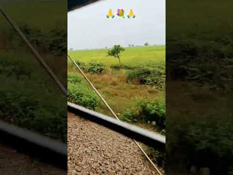 घर पे इज्जत भी है यार 🤣 #funny #comedy #entertainment #comdeymemes #funnysong #amazingmemes #fun