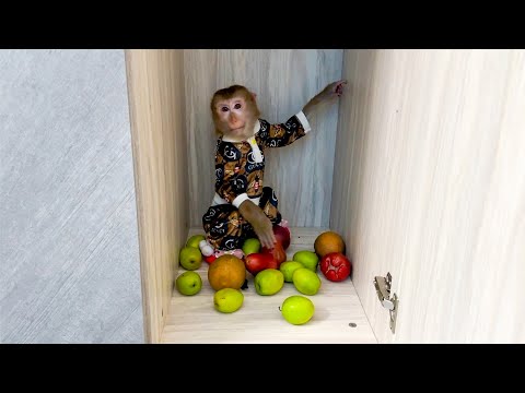 Monkey Kaka took food from the refrigerator and hid it to save