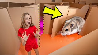 Nastya und die Flucht des Hamsters aus dem Papplabyrinth