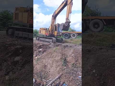 มีพ่อใหญ่มาช่วยอีกแรงนึงครับ ｜ ไพโรจน์ รถขุด ช่องหลัก  #excavator #fishing #fish #shorts #food