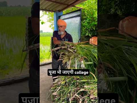 Pooja ke liye kuch bhi #shorts #ytshorts #shortsfeed #trendingshorts #youtubeshorts #viralvideo