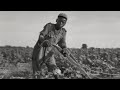 Exploring Segregation and Struggles in the Great Depression