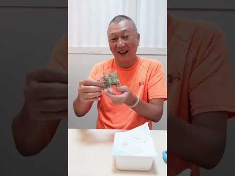 高級カップ焼きそば