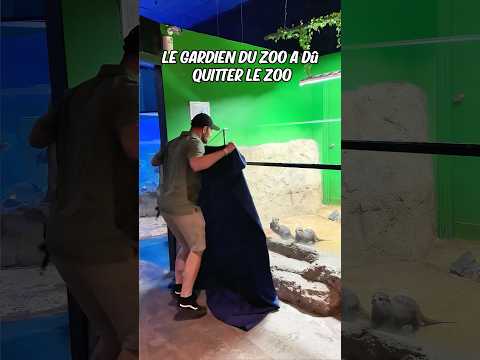 Une loutre au cœur brisé retrouve son gardien