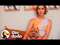 Hippo's Journey: A Foster Dog's Impact