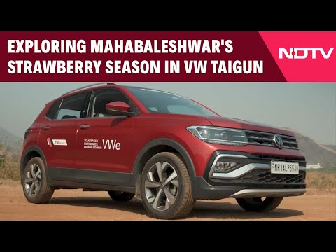 Volkswagen Tiguan | Experiencing The Strawberry Season In A VW Taigun In Mahabaleshwar