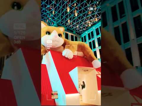 World's Longest Cat Tail: Nature's Ruler