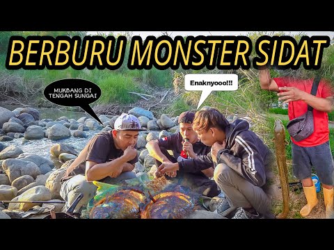 Berburu sidat!!Para pemancing di alam liar akhirnya makan besar di tengah sungai