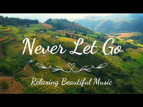 Never Let Go by Piano Relax (Music Official)