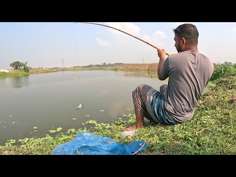 Traditional Hook Fishing| Big Fish Hunting By Hook Trap| Village Boy Fishing|