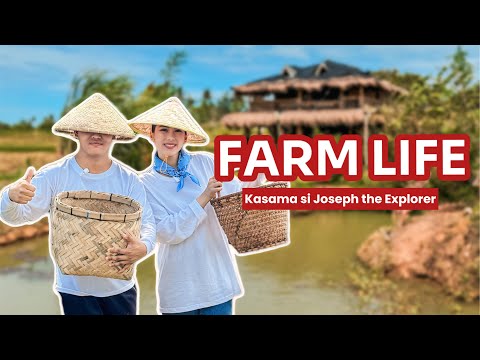 Farm Life by Alex Gonzaga