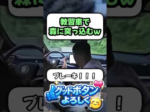 【ドラレコ】 教習車で森にダイブ!