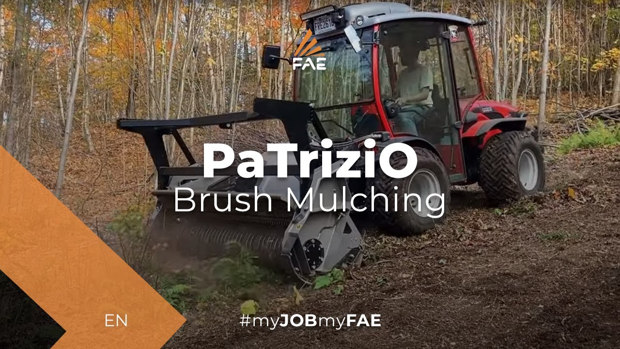 Video - PaTriziO - FAE PaTriziO 200 - The small FAE forestry mulcher in action with an Antonio Carraro TTR 7600 tractor