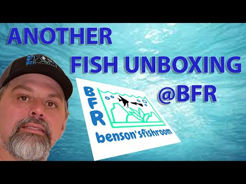 FISH UNBOXING 2019 @ BFR FISH UNBOXING 2019 @ BFR. Please subscribe  https_//www.youtube.com/c/BensonsFish...

We got a bunch