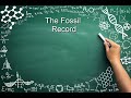 Evolutionary Biology Concepts Assessment