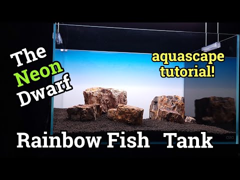 The Neon Dwarf Rainbow Fish Tank (Aquascape Tutori Please join me in this, my first Iwagumi Style Aquascape Tutorial as I take you step by step through
