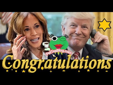 Kamala Harris Calls Trump to Congratulate him on 2024 Election Win, Gets Dragged for Skipping Speech