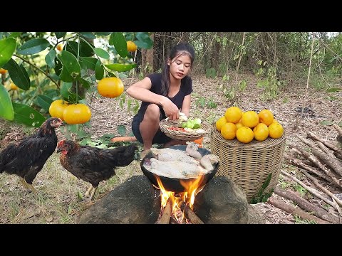 Catch and cook chicken Pick wild oranges in forest, Chicken soup tasty for survival food