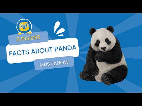 8 INSIDER Facts About Pandas (NO.3 Will Surprise You)