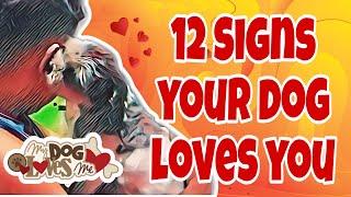 12 Signs Your Dog Loves You So Much | nakikita mo ito hinde mo lang pinapansin