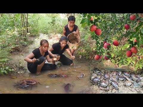 Catch crab and Pick wild red apple for food in forest, Crab hot spicy chili for dinner