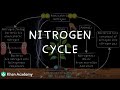 Nitrogen Cycle Concepts and Processes